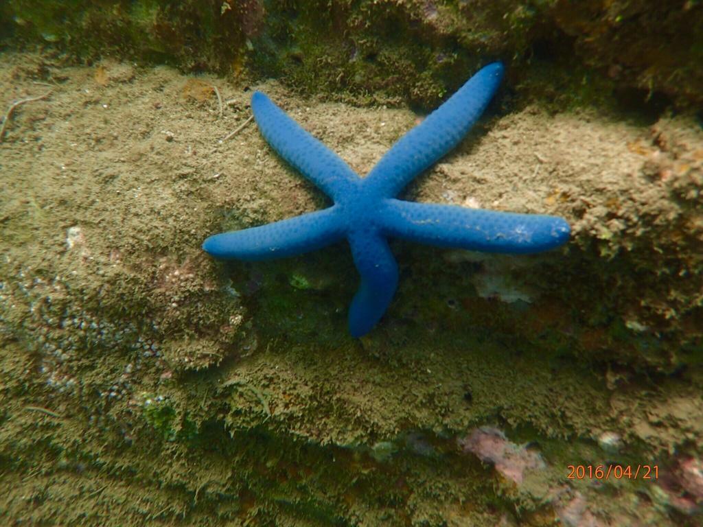 Blue Ocean Sunny Bs Checheng Exterior foto